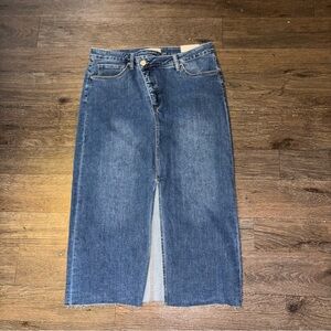 Alexander Jane XL Denim Skirt new